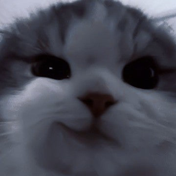 Dov test